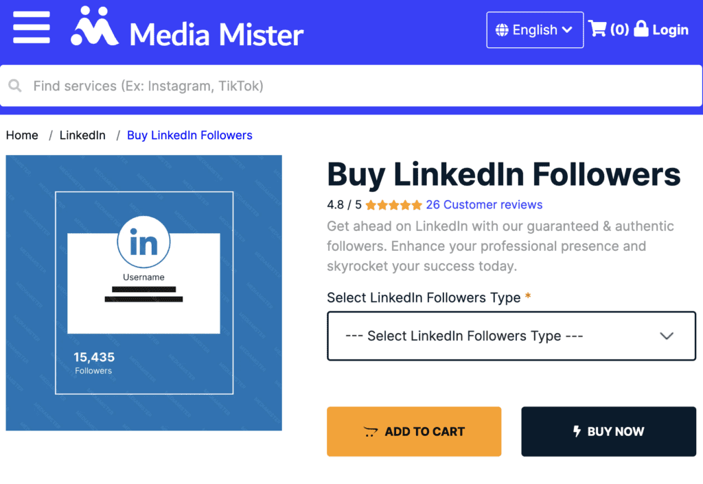 Media Mister Network Services LinkedIn